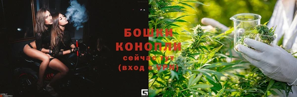 бошки Алексин